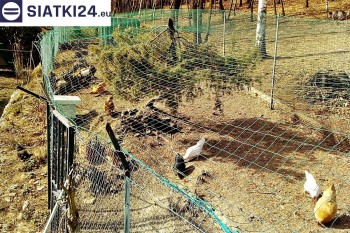 Siatki Radzyń Podlaski - Siatka na woliery - zabezpieczenia ptaków w hodowli dla terenów Radzynia Podlaskiego